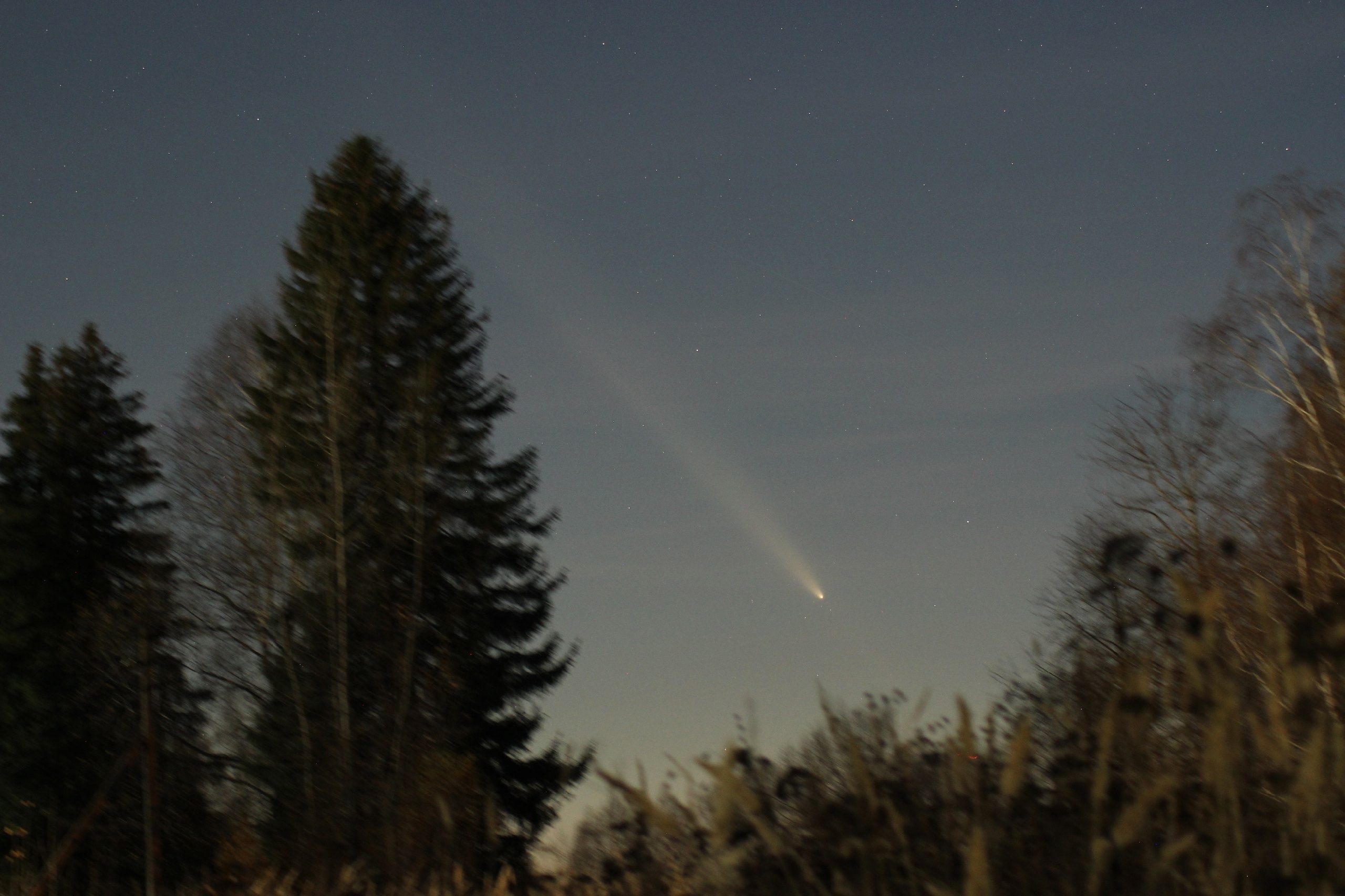 Встреча с кометой в Летнем саду г. Ижевск